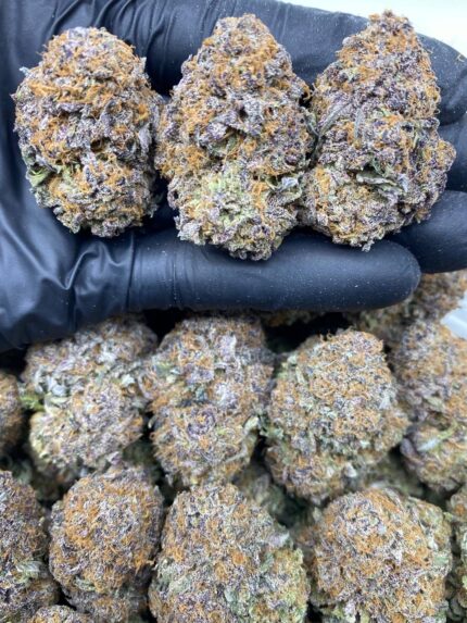 Granddaddy Purple strain