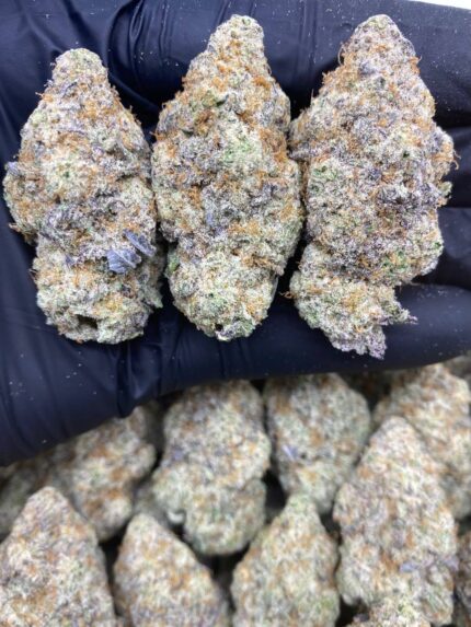 Gusher Mac Strain