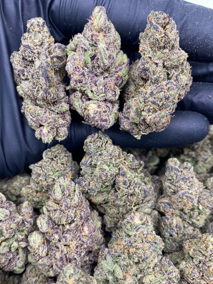 purple chemdawg strain