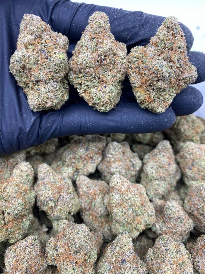 sundae driver strain