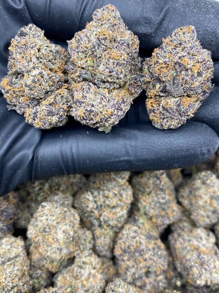 Cherry Octanelatto