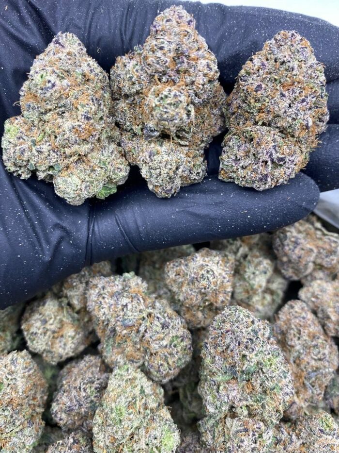 Cherry Zplash