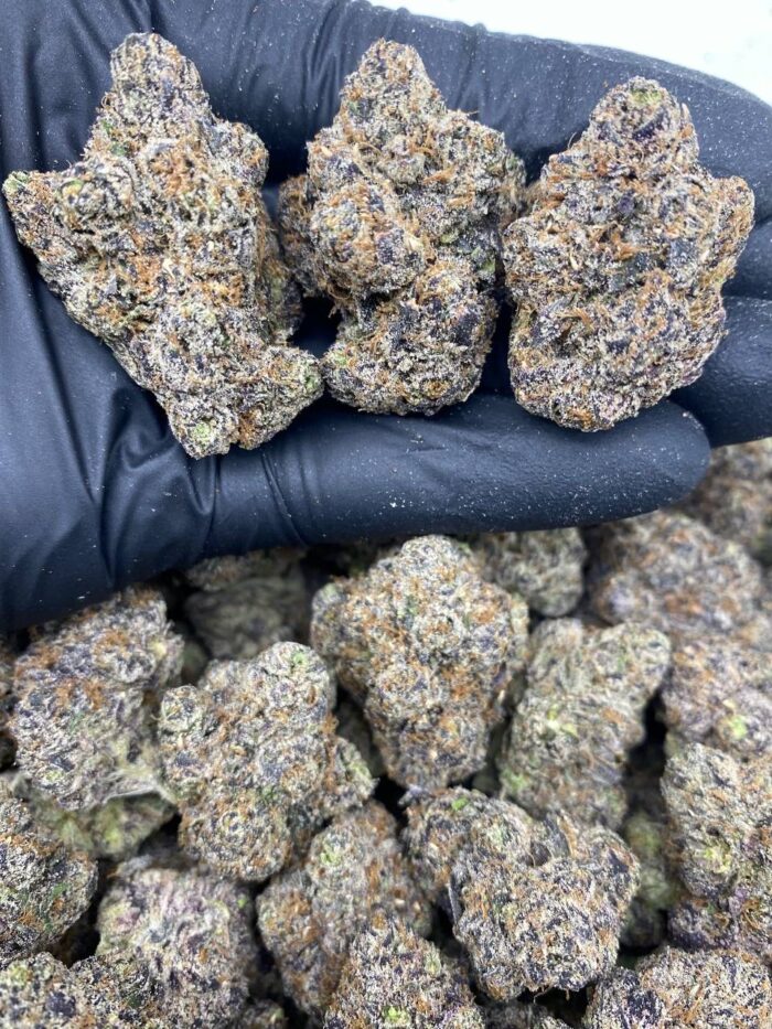 Exotic Candy Z