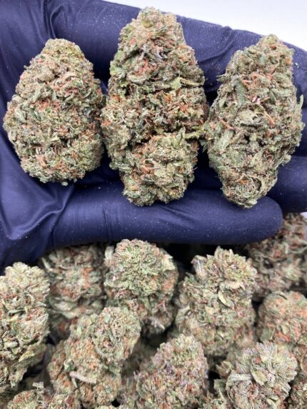 Kosher Kush