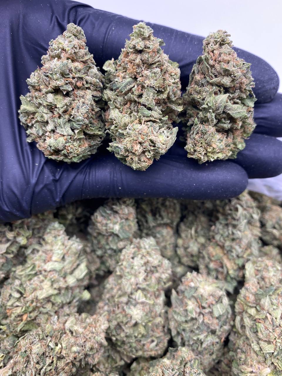 la pancake LA Pancake