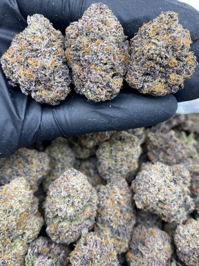 Lemon Candy Meltz