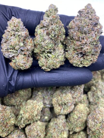 BLOW POP