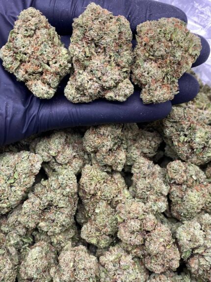 CANDY CHERRY KUSH