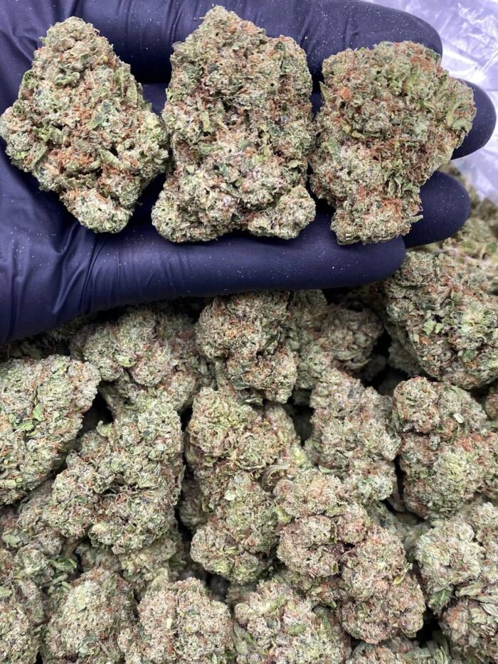 CANDY CHERRY KUSH