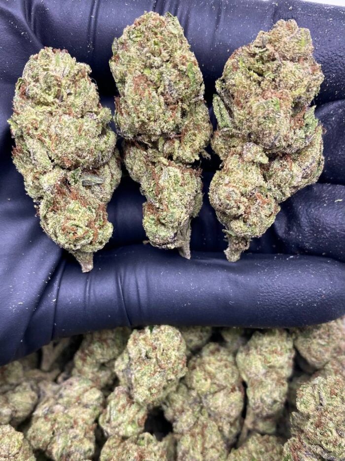 CANDY POP