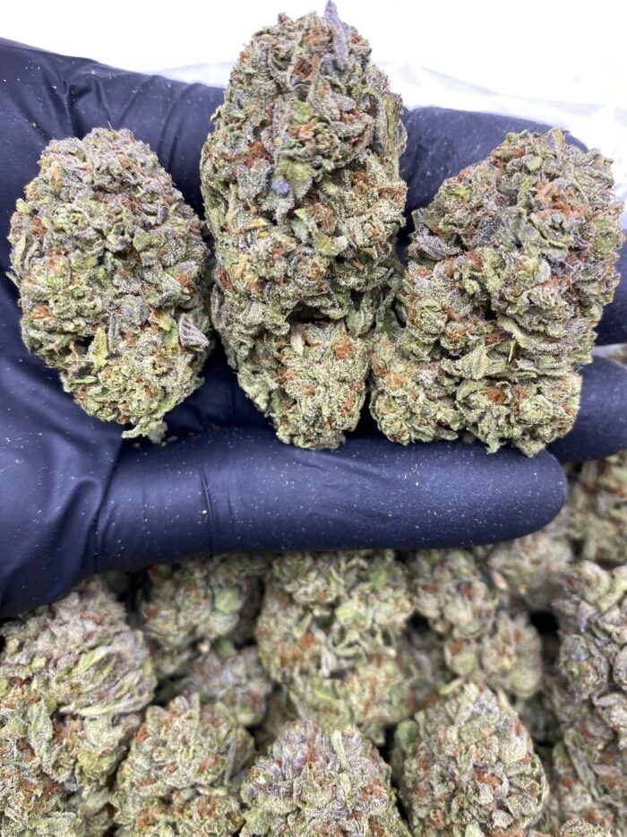 CONFETTI CAKE