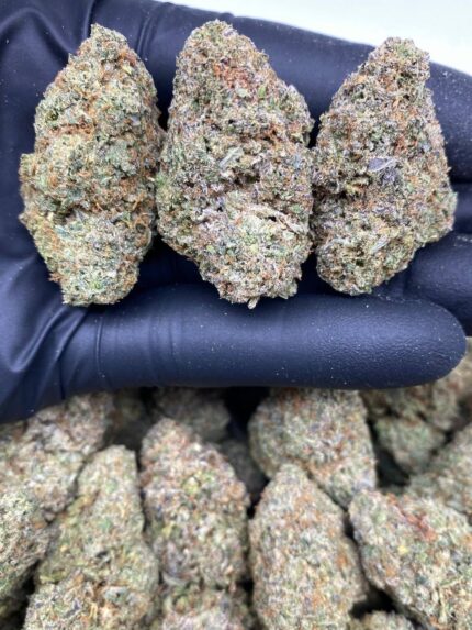 cherry gumbo strain