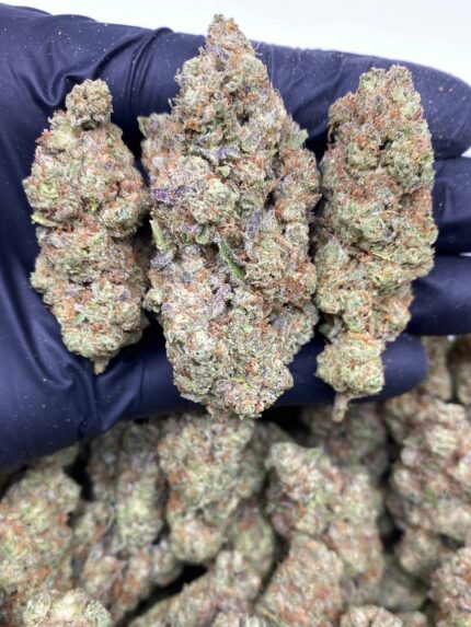 KUSH MINTZ