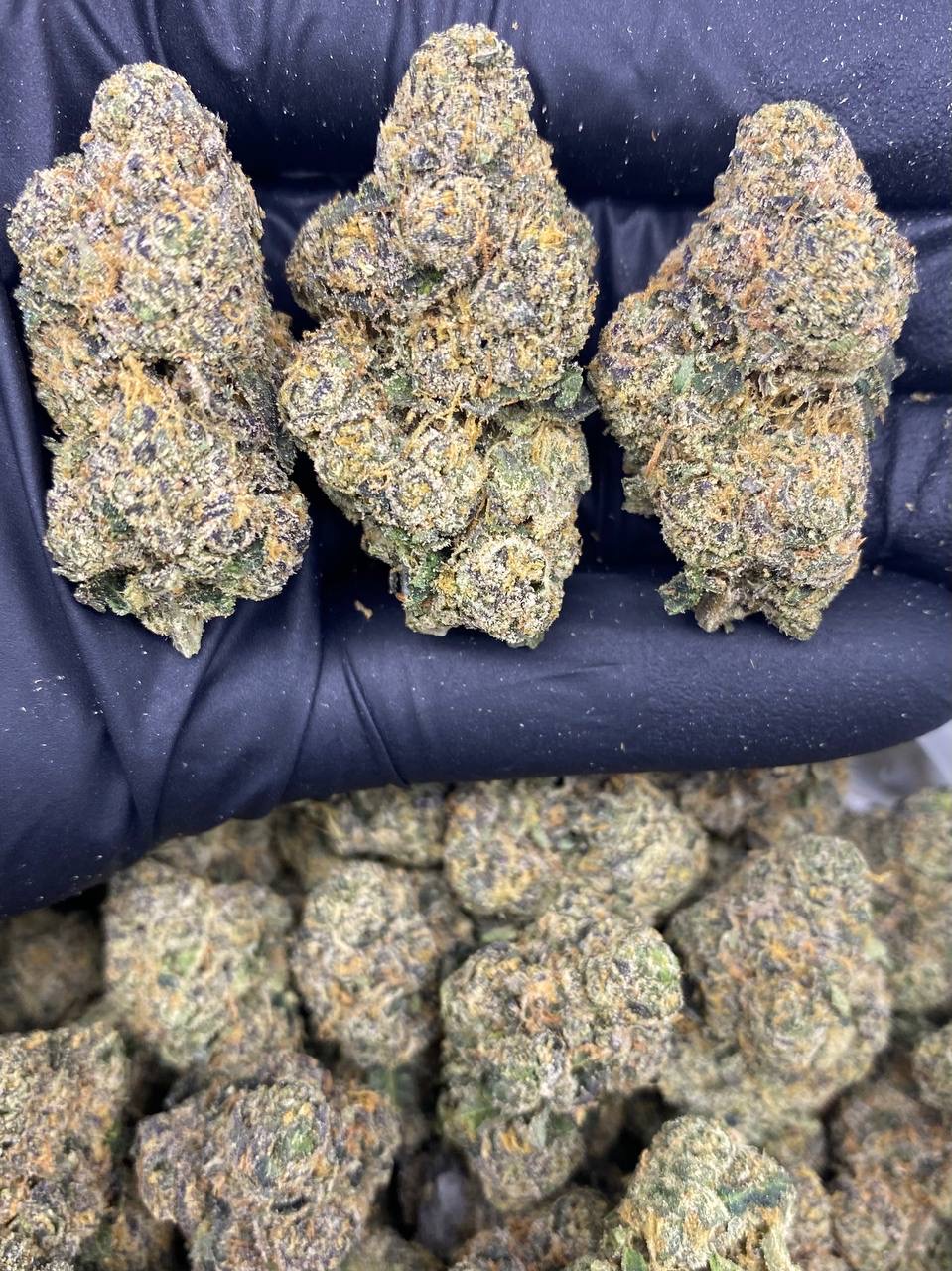 PINK CANDY PINK CANDY