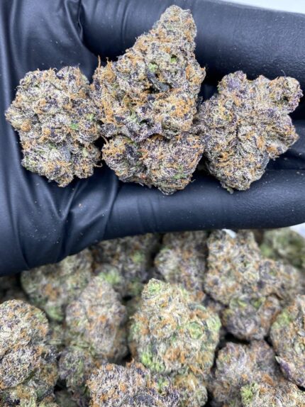 PURPLE SLURRICANE