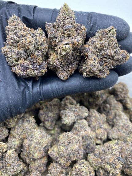 BLACK BUTANE